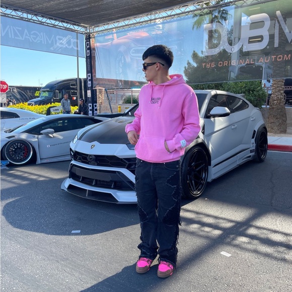 Louis Vuitton Pink and Brown Trainers - Picture 6 of 8